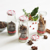 jars of whole cinnamon, star anise and cloves jars of whole cinnamon, star anise and cloves