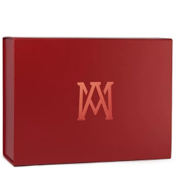Boite Cadeau Maxi Format 40x30x15cm | Albert Ménès