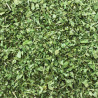 Eco-refill Parsley