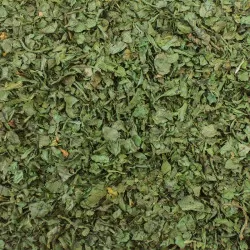 Eco-refill Coriander Leaves