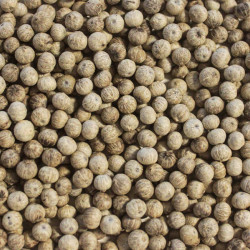 Eco-refill White Kampot Peppercorns