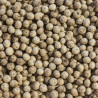 Poivre de Kampot Blanc Albert Ménès en sachet, grains pâles et subtils aux notes d'agrumes, épice de qualité supérieure