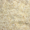Garlic Granules