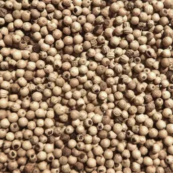 Eco-refill Malabar white Pepper