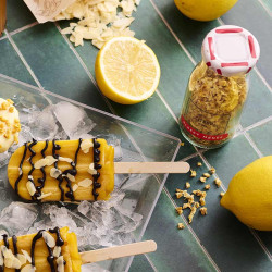 ambiance ecorces de citron albert menes glaces