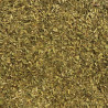 Organic Herbes de Provence
