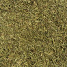French PGI Thyme