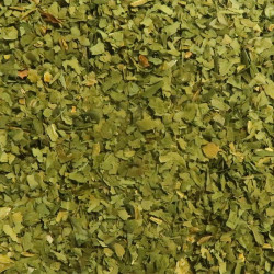 Détail des feuilles séchées d'Ail des ours Albert Ménès, texture et couleur verte