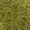 Détail des feuilles séchées d'Ail des ours Albert Ménès, texture et couleur verte
