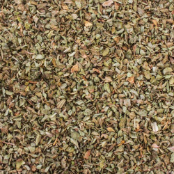 Oregano