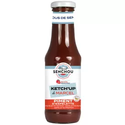 Purer Tomatenketchup mit Piment d'Espelette