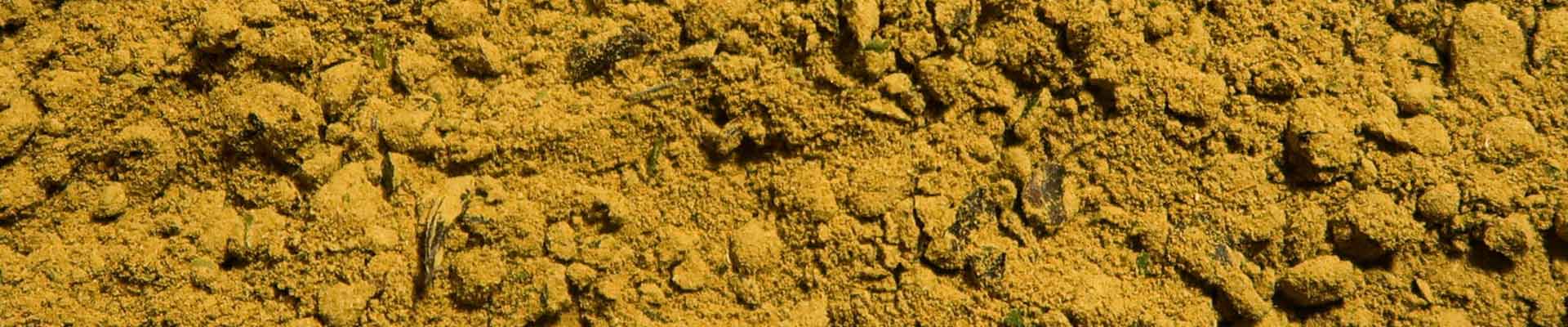 curry vert thaï Albert Ménès curry vert thaï